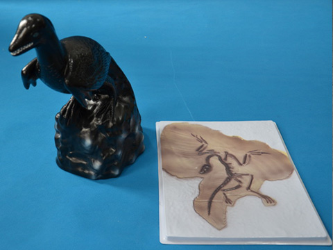 始祖鳥化石及復(fù)原模型