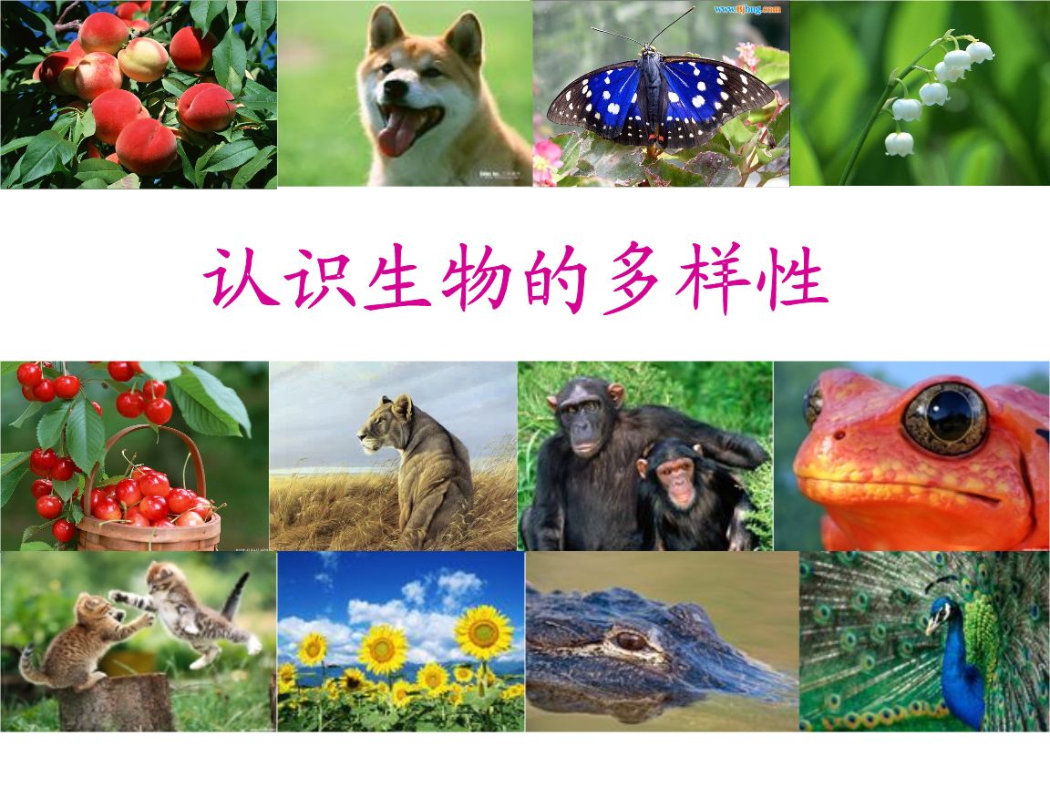 生物多樣性